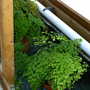 Early_2008_season_004