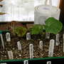 Early_2008_season_009