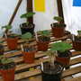 Early_2008_season_007