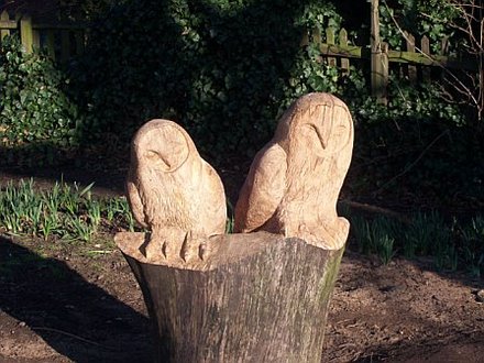 owls wisbech park