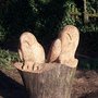 Owls