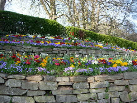Spring In Hereford City
