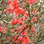 Pict0649