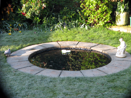 My new Wildlife Pond :-)