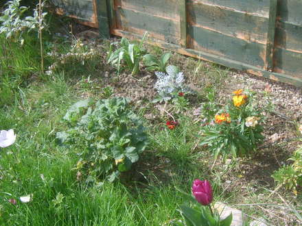 April garden