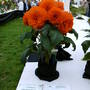 2005_shows_018