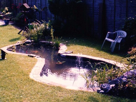 Pond Project 2004