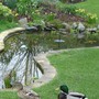 Pond Project 2004