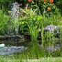 Pond Project 2004