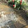 Drain Water