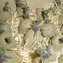 Garden_31