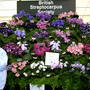 2005_shows_034