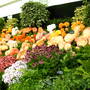 2005_shows_025