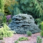 Garden_view_8