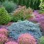 Garden_view__2