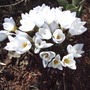 2008-04-08_003