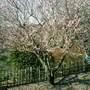 Tokai_trip_007