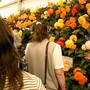2006_shows046
