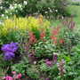 New_planting_top_border