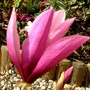 Pict0684