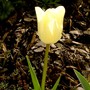 Pict0686