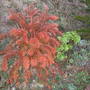 Dscf0089