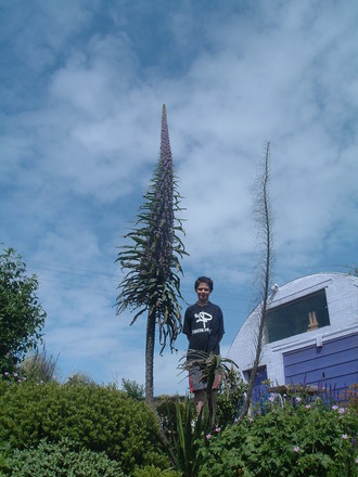 flower_007.jpg