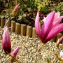 Copy_of_copy_of_pict0684