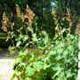 Picture_007