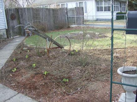 Front Garden April 2008