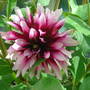 Picture_017