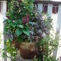 Picture_003