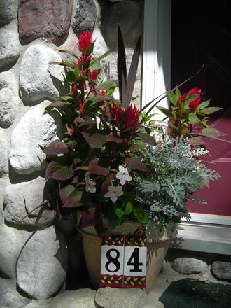 Front door pot
