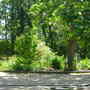 Picture_031