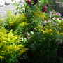 Picture_022