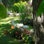Picture_048