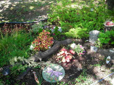 Very shady rock garden