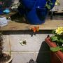 10th_april_2008_001