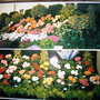 Imag0026