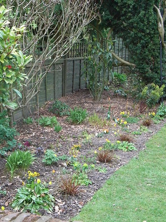 Yellow border - April 2008