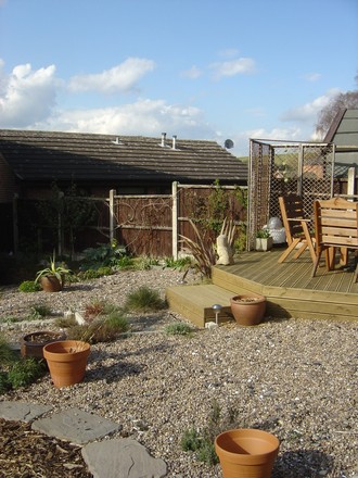 My back garden