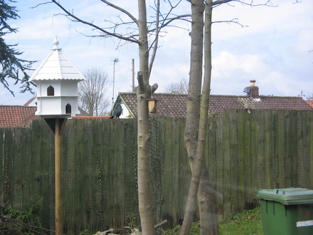 Dovecote 