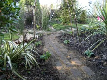 New Path