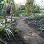 New Path