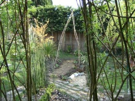 View from inside Willow Dome