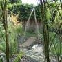 View from inside Willow Dome