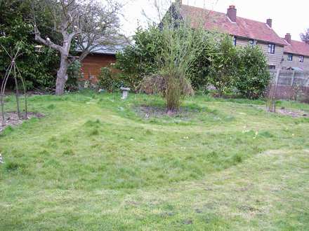 Long Grass....