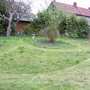 Long Grass....