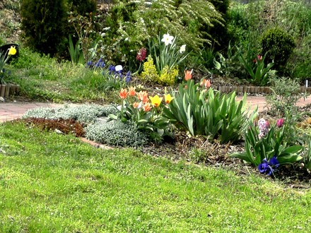 View of top garden at back