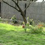 Pict0730
